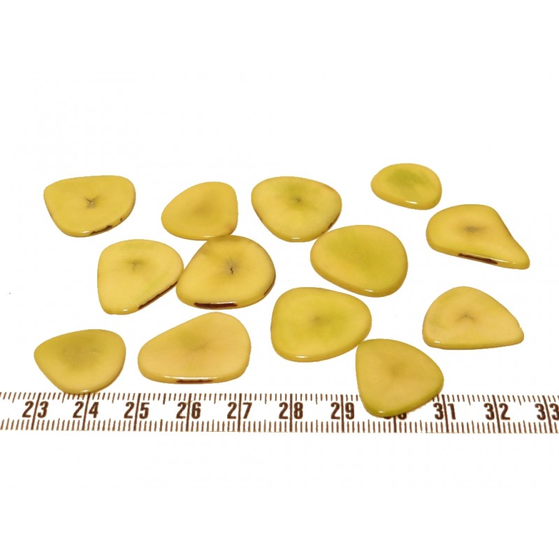 Tagua pétale  jaune 