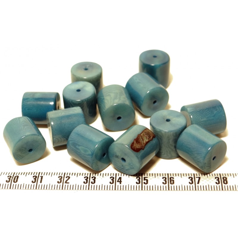 Tagua cylindre bleu x1