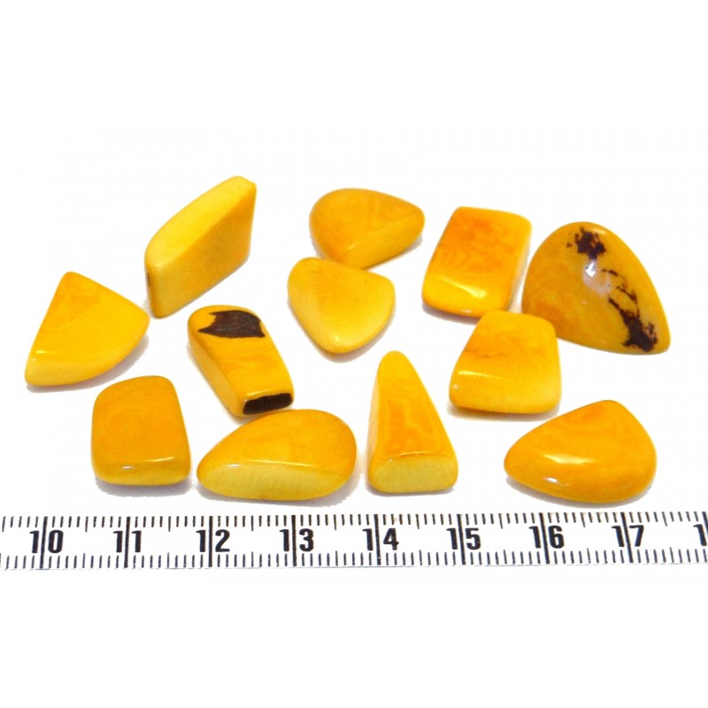Tagua rocaille grand orange