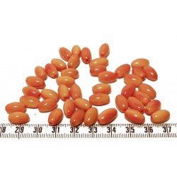 Tagua olive orange 12mm x1