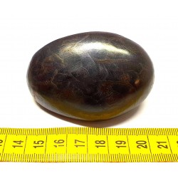Tagua graine 6 cm noir