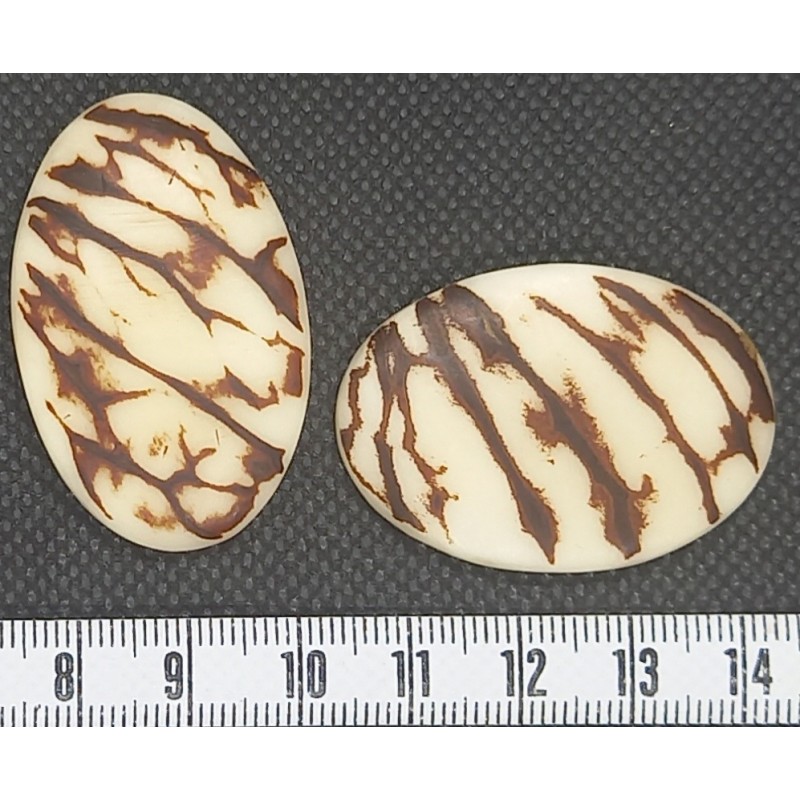 Tagua ovale marbré blanc