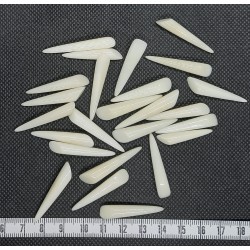 Tagua cône petit blanc 35mm