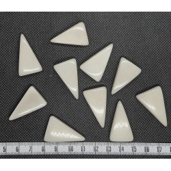 Tagua triangle blanc 15mm