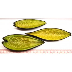 Ti cannot d Amazonie vert...