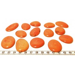 Tagua lame marbrée moyenne orange x1