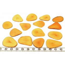 Tagua pétale orange x1