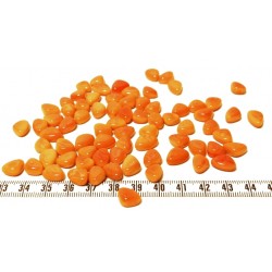 Tagua rocaille orange x1