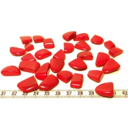 Tagua rocaille grand rouge x1